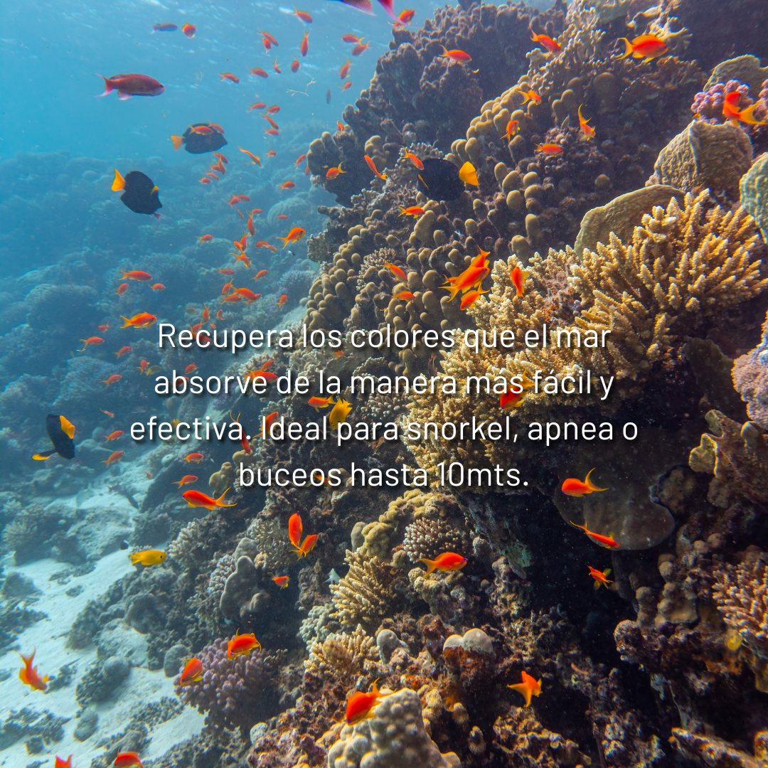 Filtro rojo Snorkel para Sea touch 6 PRO
