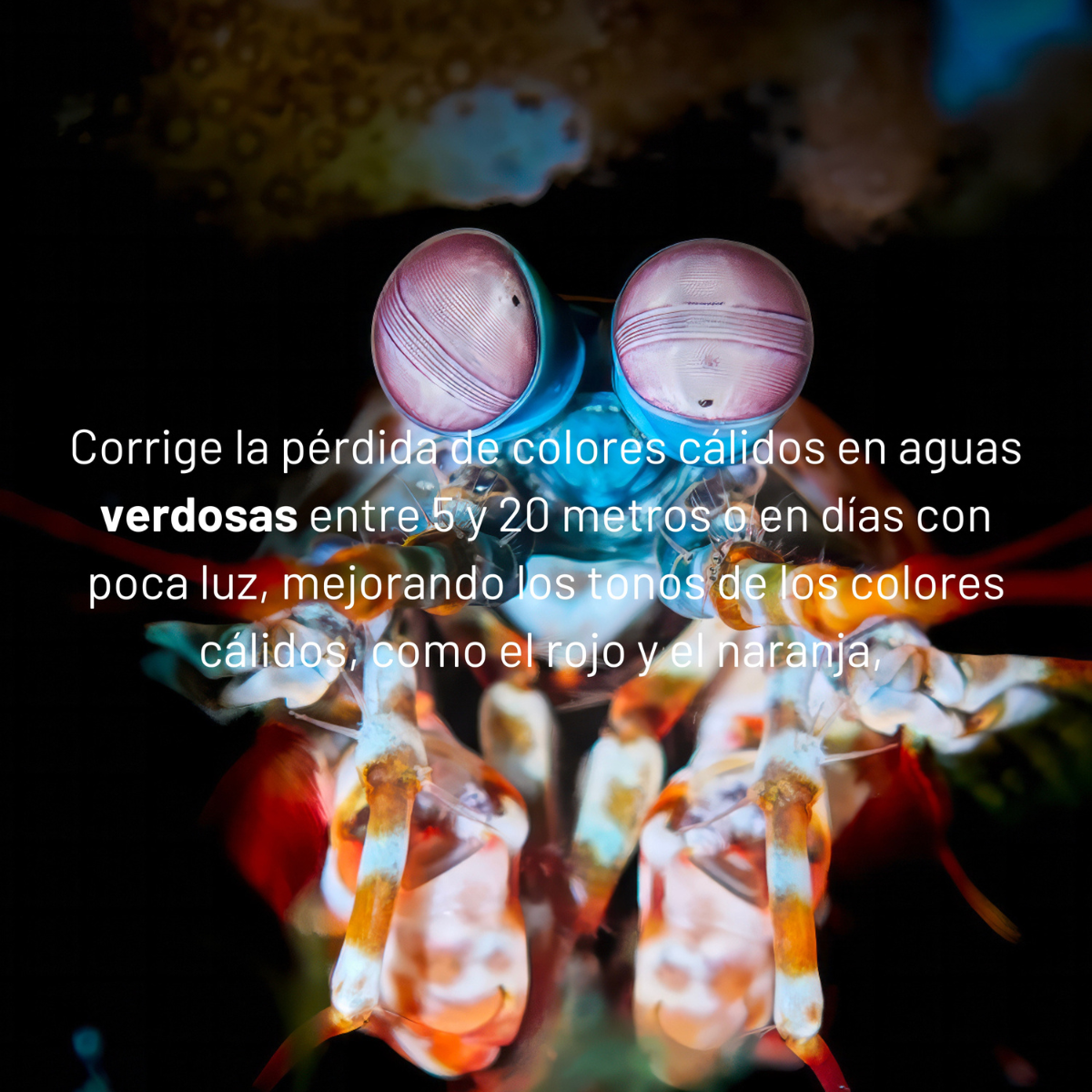 Filtro violeta 67 mm