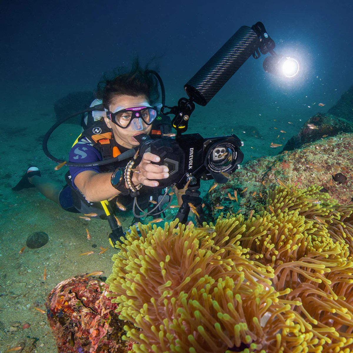 Diseño extensible para añadir más accesorios de fotografía submarina.