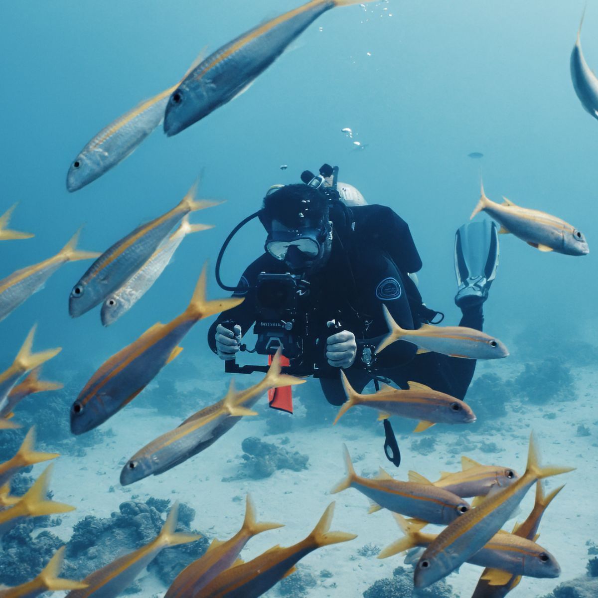 Carcasa Divevolk SeaTouch 4 Max