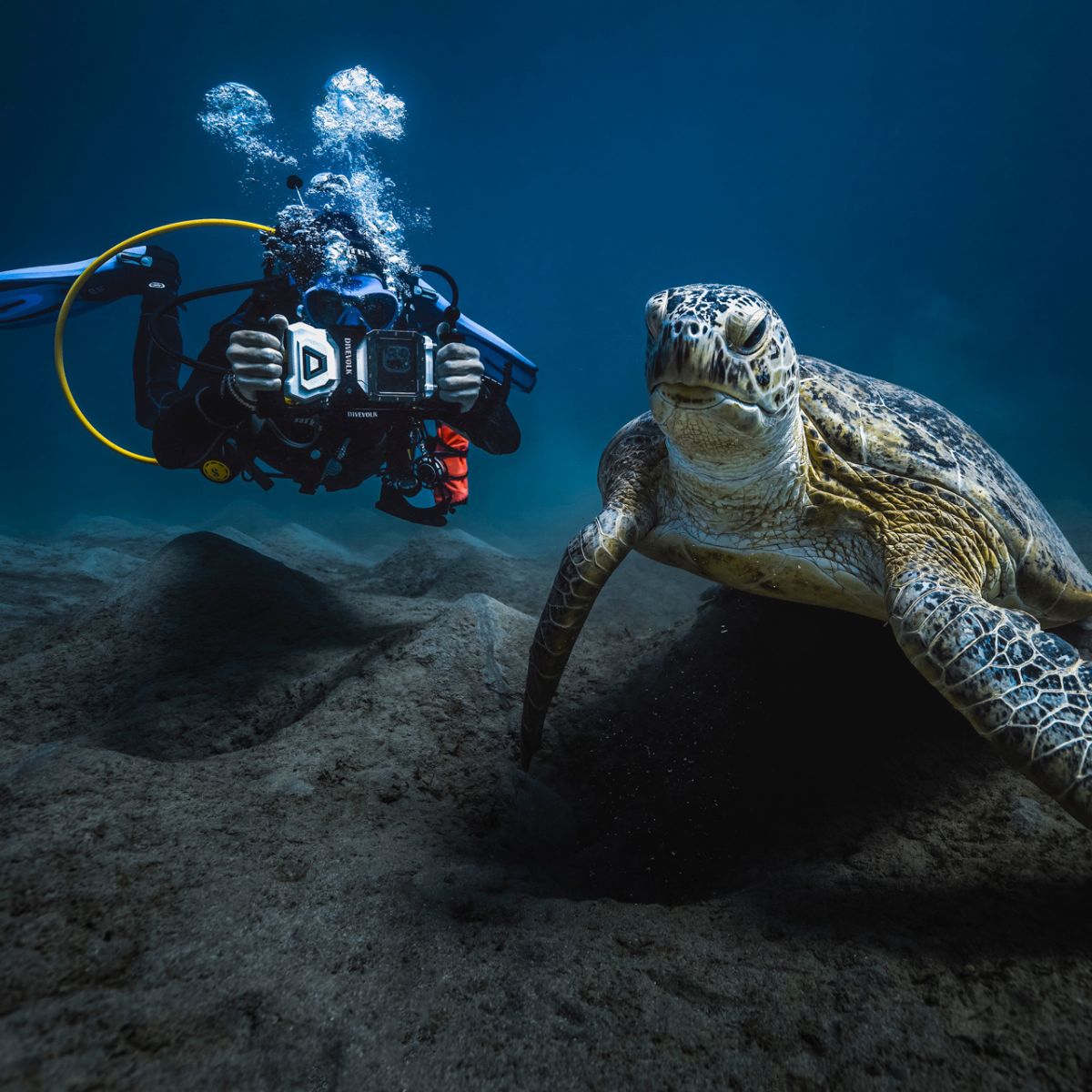 Carcasa Divevolk SeaTouch 4 Max