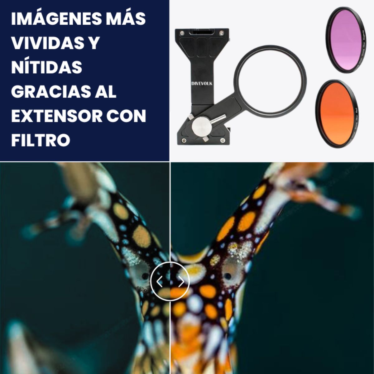 Divevolk Ocean Essentials Kit