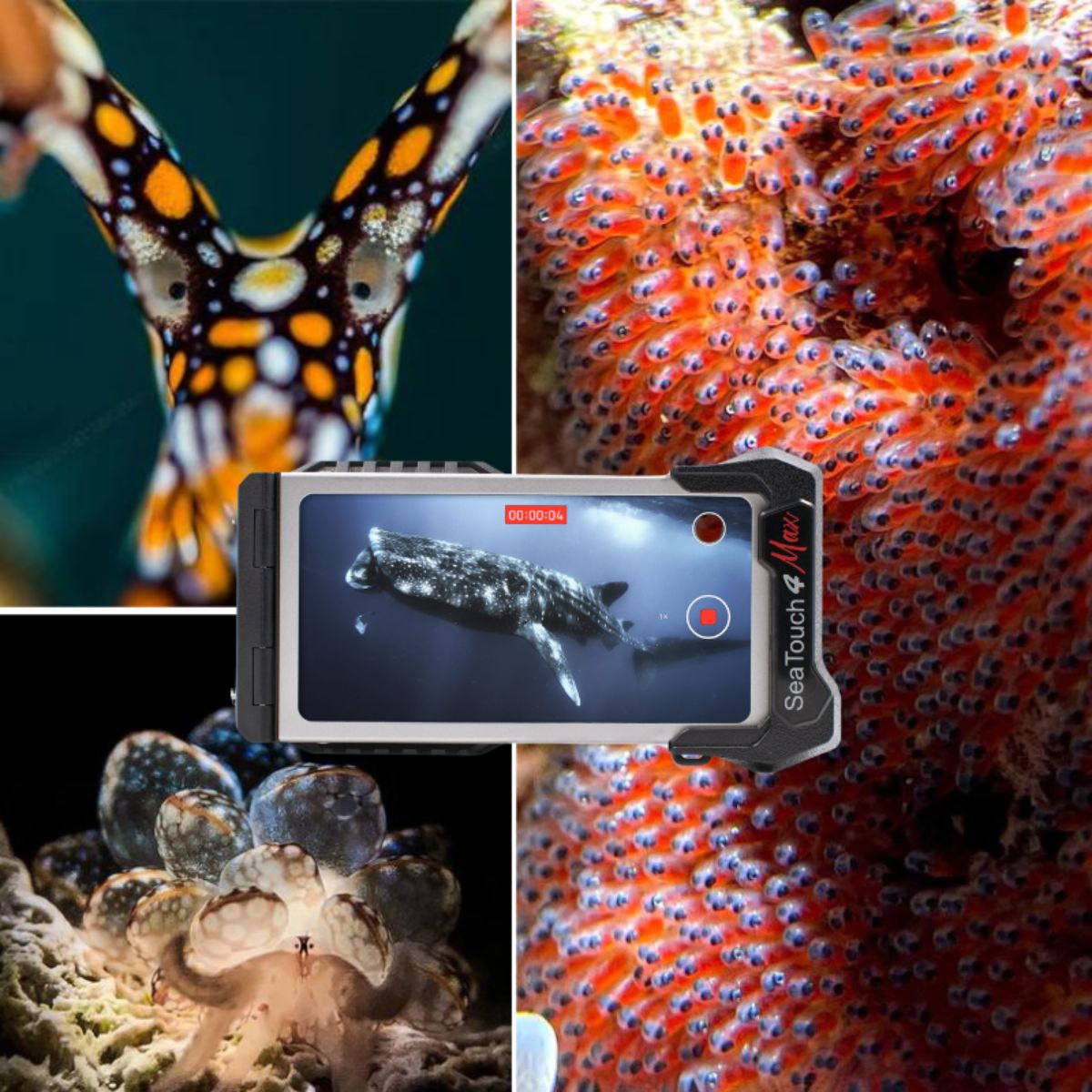 Divevolk Ocean Essentials Kit