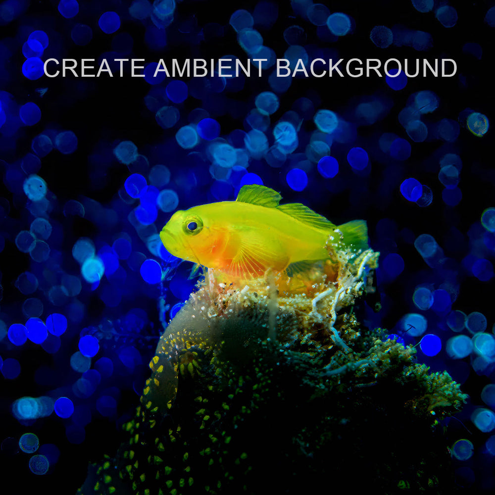 Rueda de filtros de color para snoot (SL20)