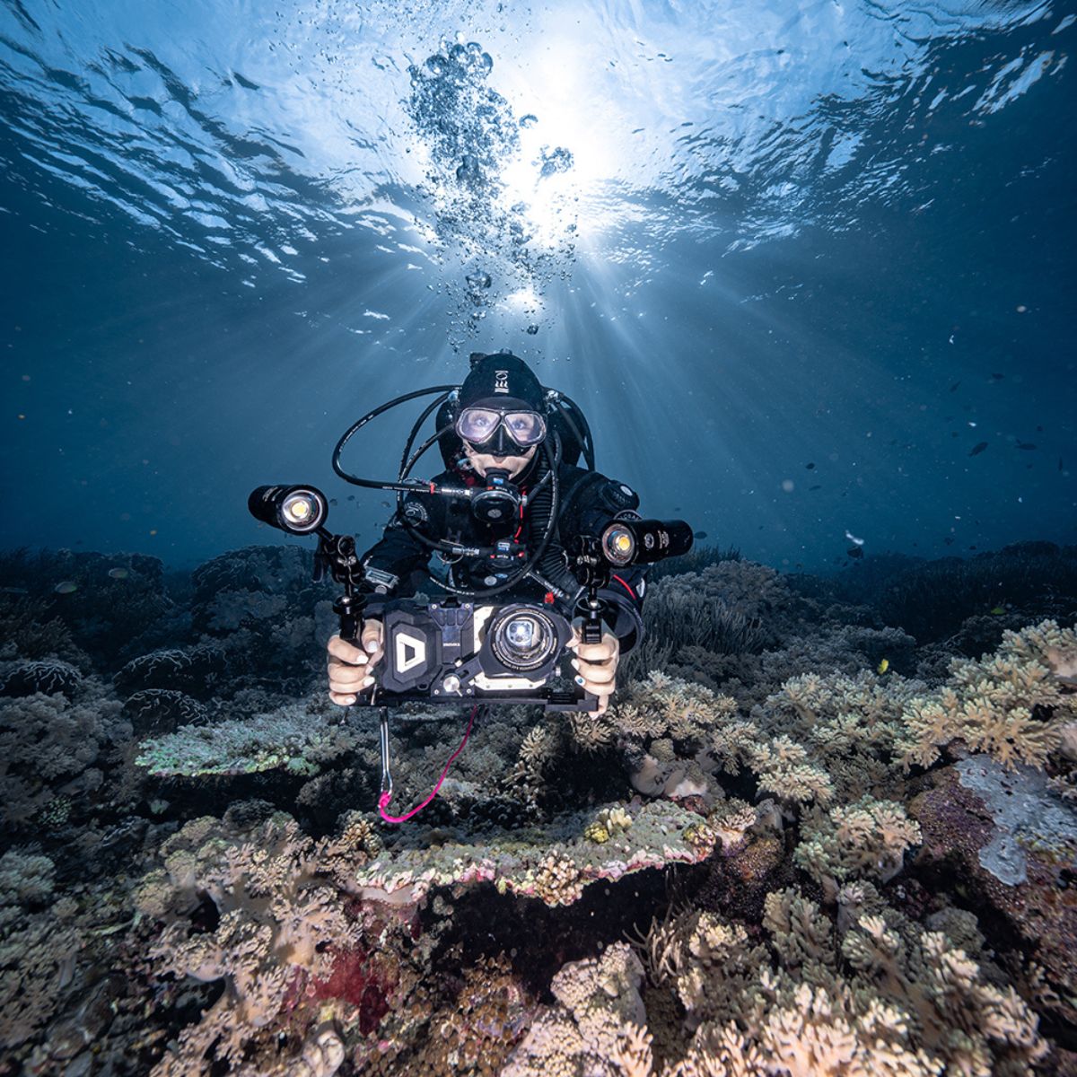 Professional Kit 1.0 Divevolk