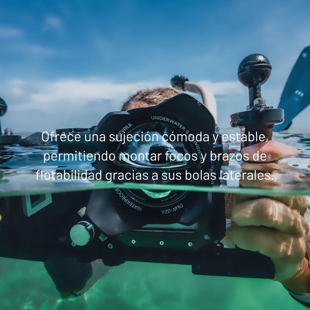 Soporte de doble asa