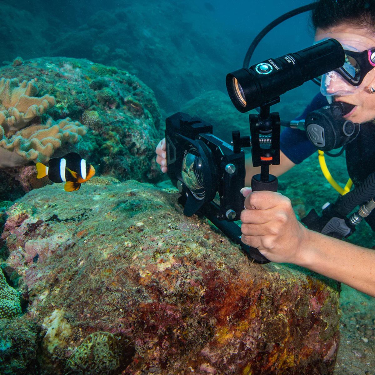 Soporte de una asa Divevolk
