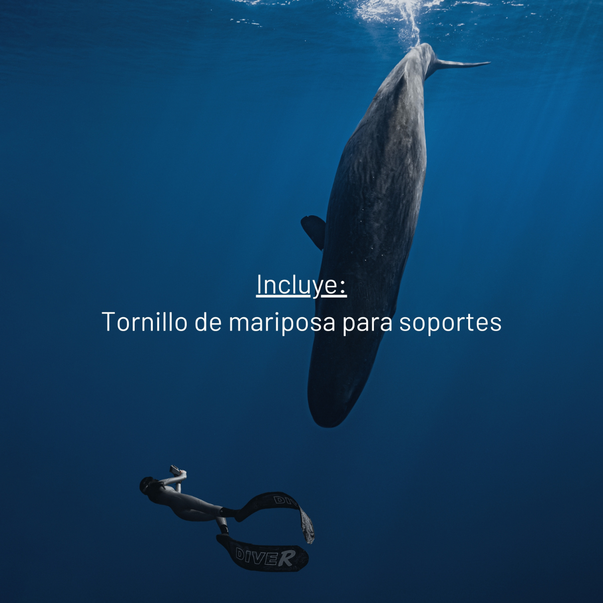 Tornillo de mariposa para soportes