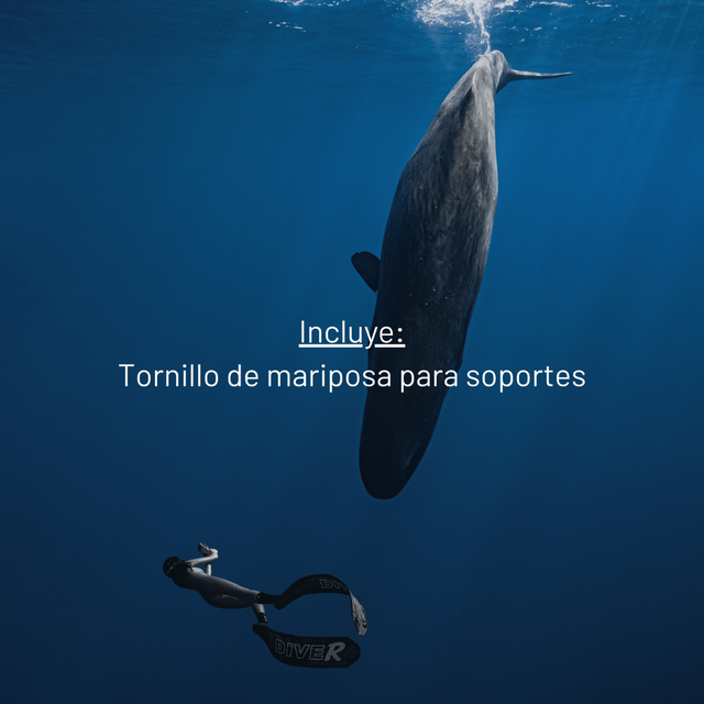 Tornillo de mariposa para soportes