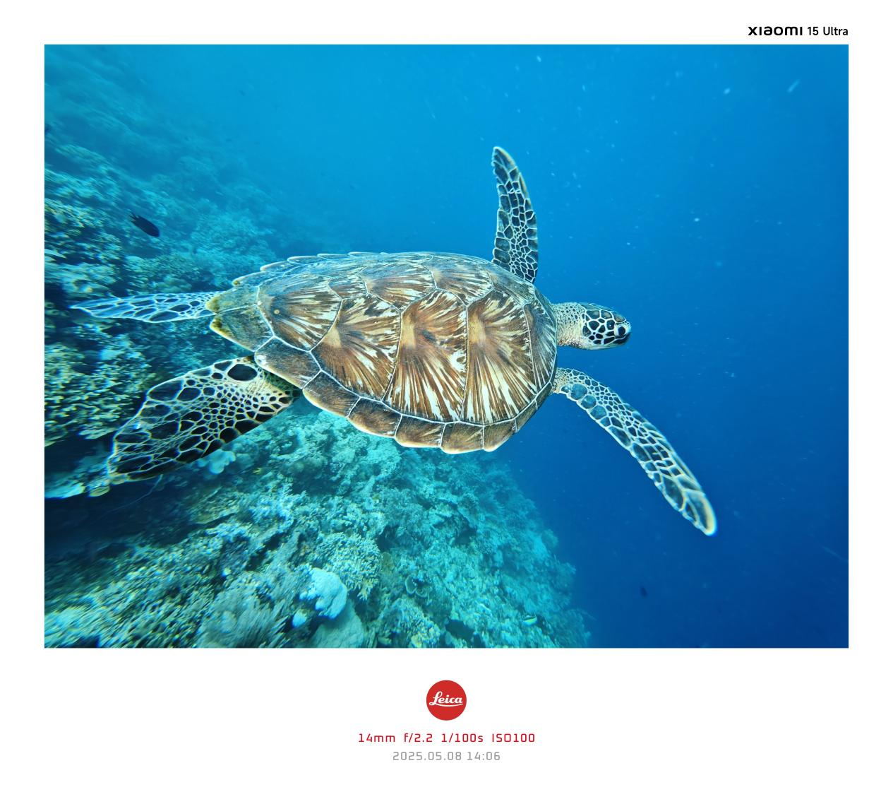 Guía completa de fotografía submarina con el Xiaomi 17 Ultra y la carcasa DIVEVOLK SeaTouch