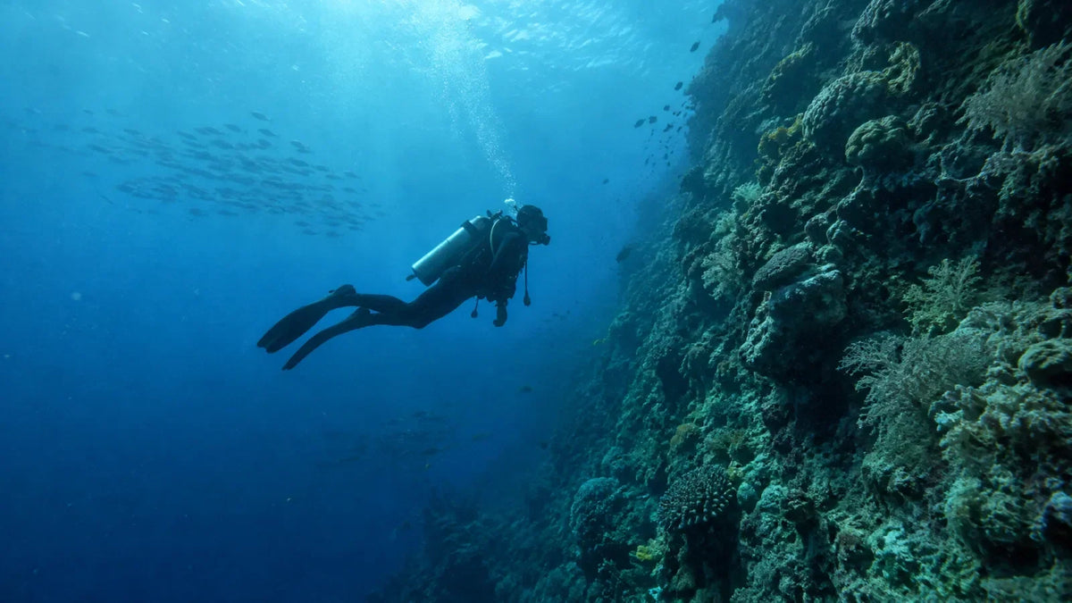 Buceador descendiendo junto a una pared de arrecife en aguas azules, donde la presión sube una atmósfera cada 10 metros