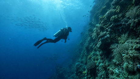 Buceador descendiendo junto a una pared de arrecife en aguas azules, donde la presión sube una atmósfera cada 10 metros