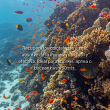 Filtro rojo Snorkel para Sea touch 6 PRO