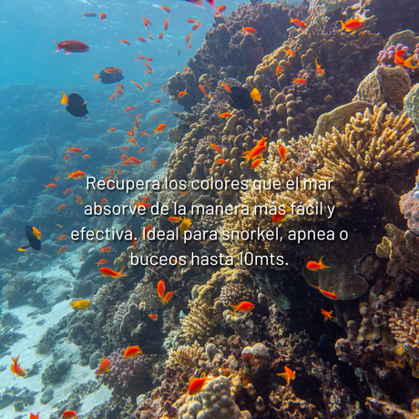 Filtro rojo Snorkel para Sea touch 6 PRO