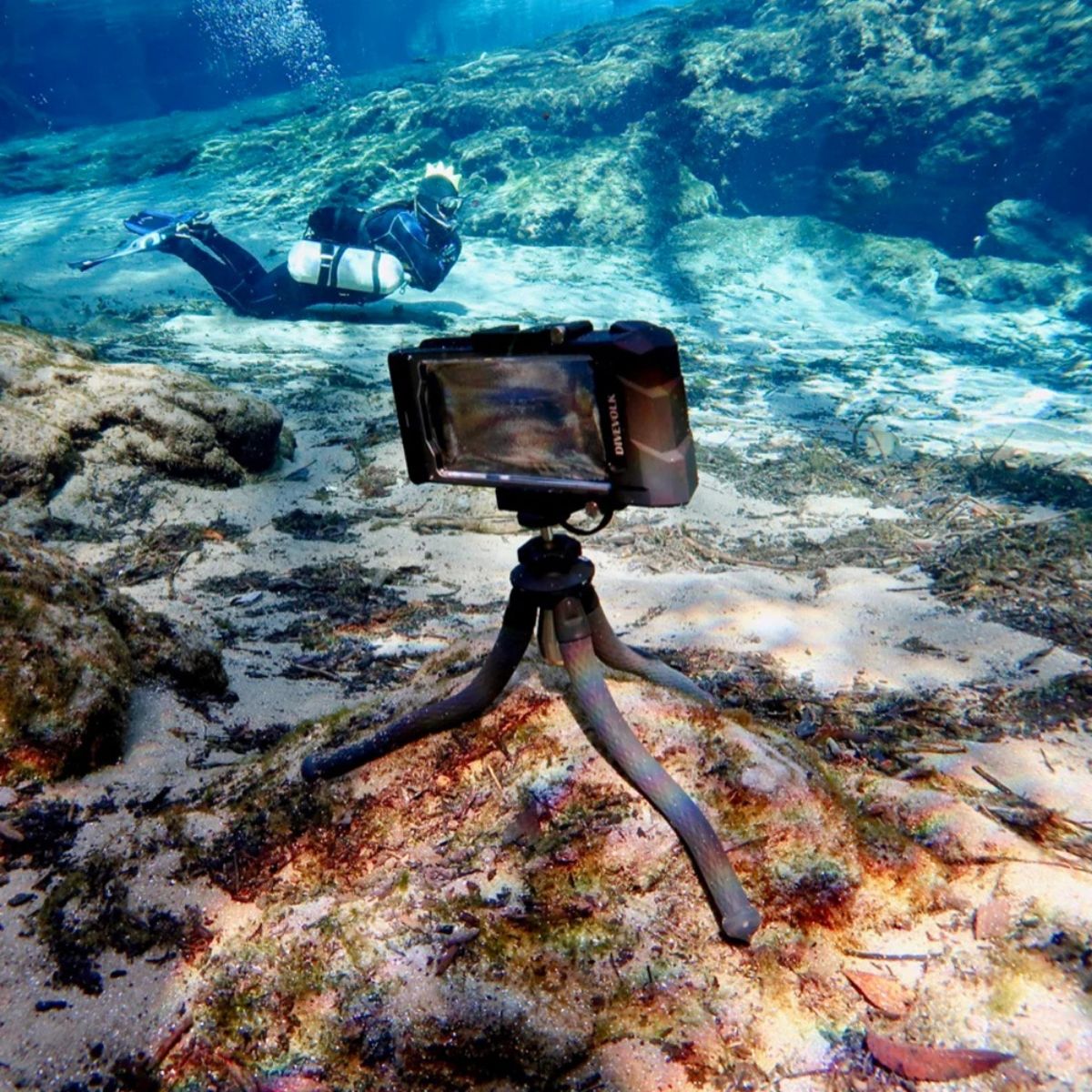 La lente gran angular no solo corrige la distorsión de la imagen bajo el agua con una capacidad extraordinaria, sino que también amplía enormemente la vista.