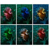 Rueda de filtros de color para snoot (SL20)