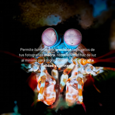 Snoot concentrador del haz de luz