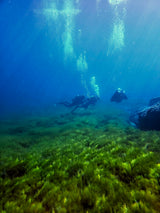 Filtro violeta 67 mm