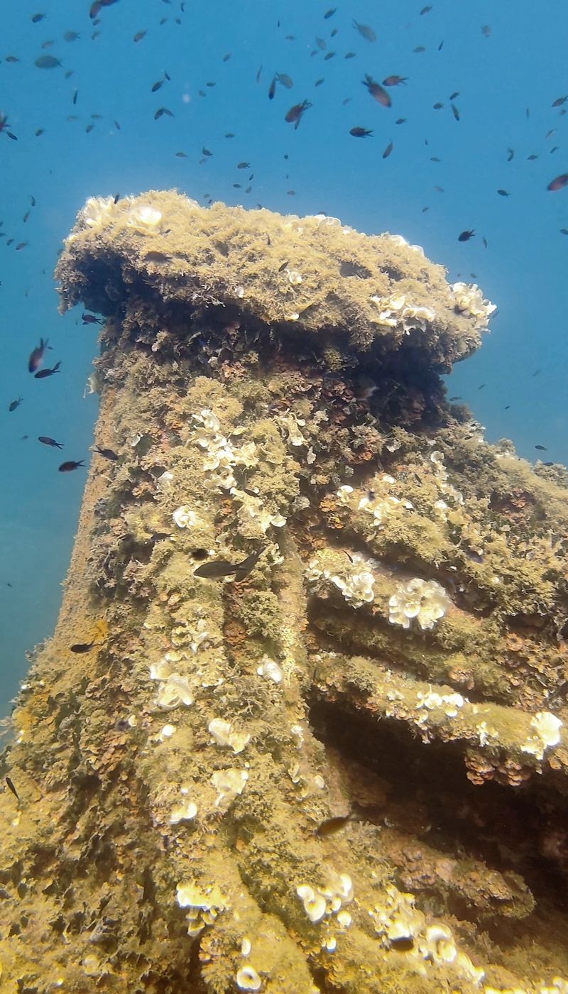Foto de Mónica Franco Maimir
