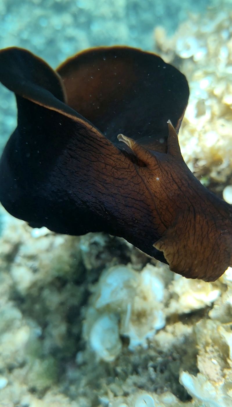 Foto de Mónica Franco Maimir